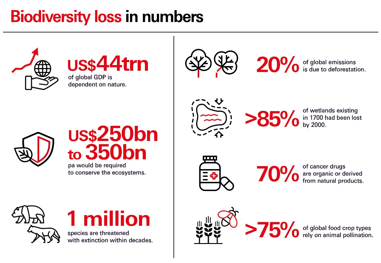 Biodiversity lose in numbers infographic
